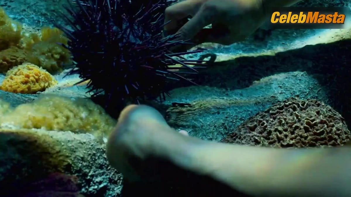 Susan Park nude/sexy scene in Snowpiercer