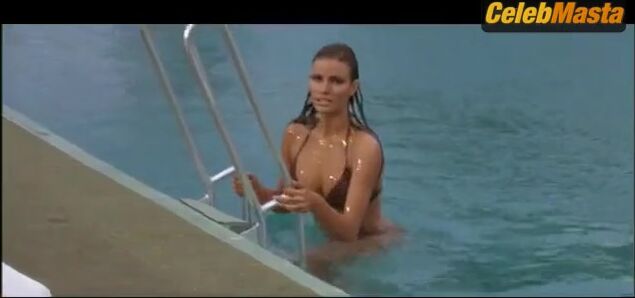 Raquel Welch Bikini Scene in Lady In Cement